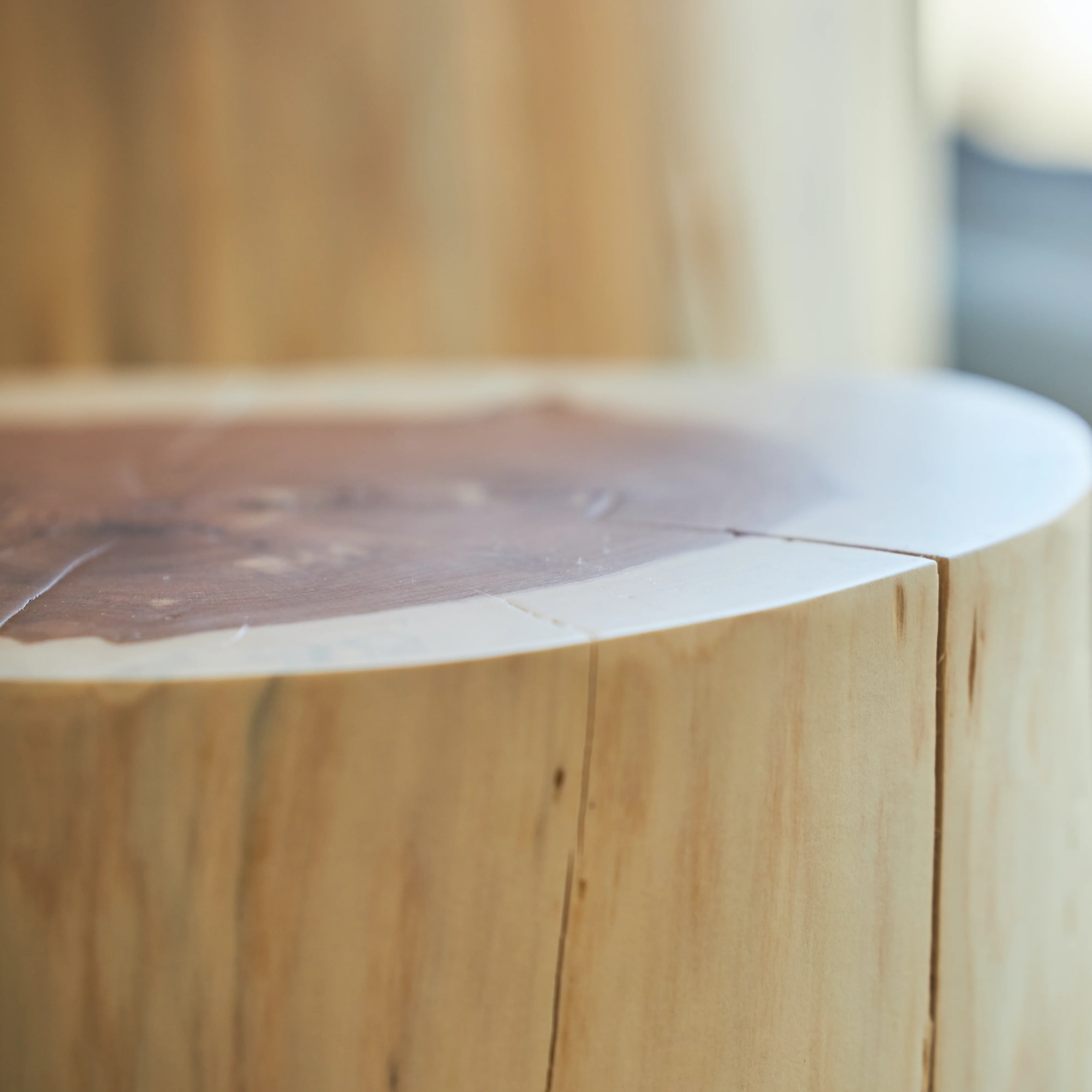 Cedar Stump Side Table - Image 3