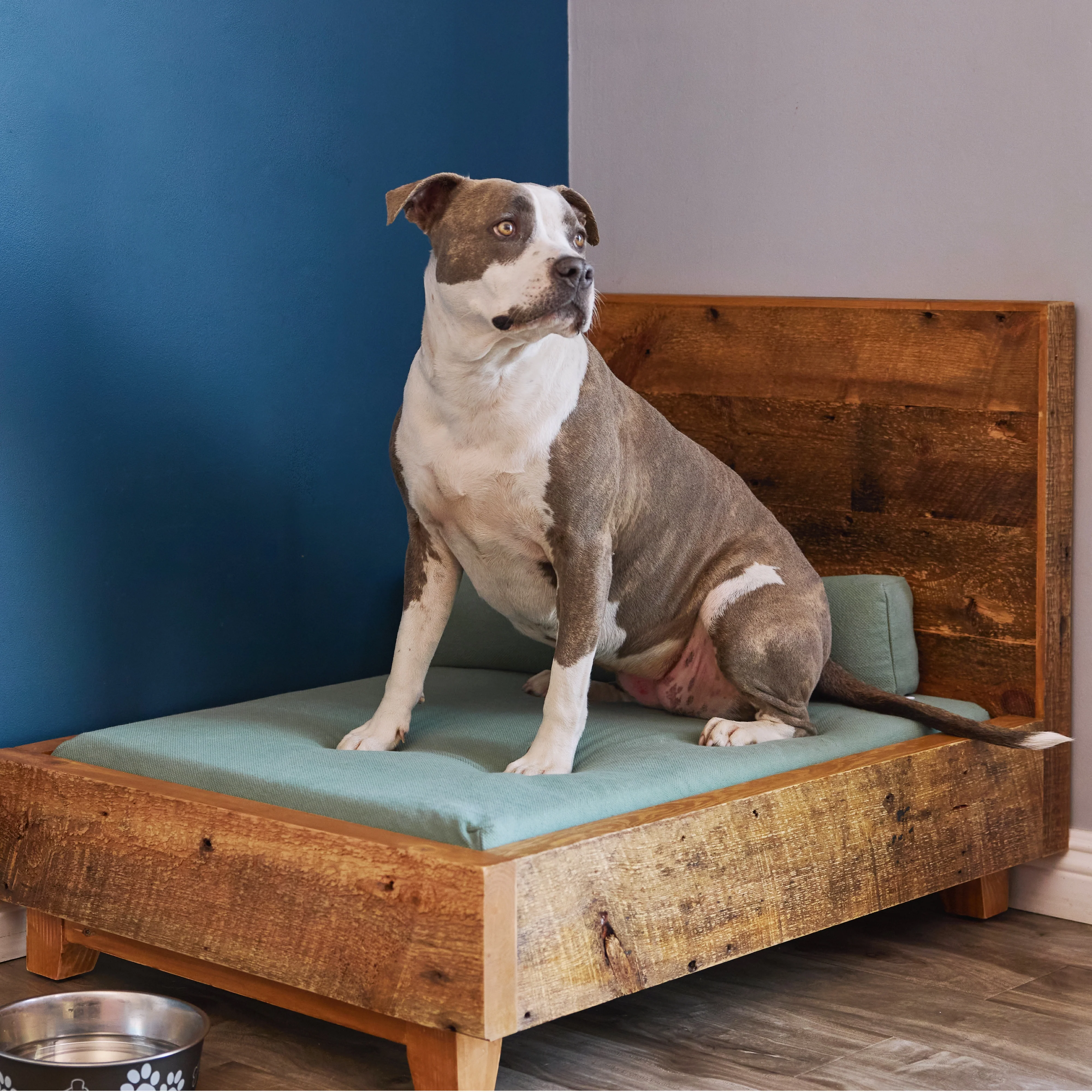 Dog Bed Frame - Image 3