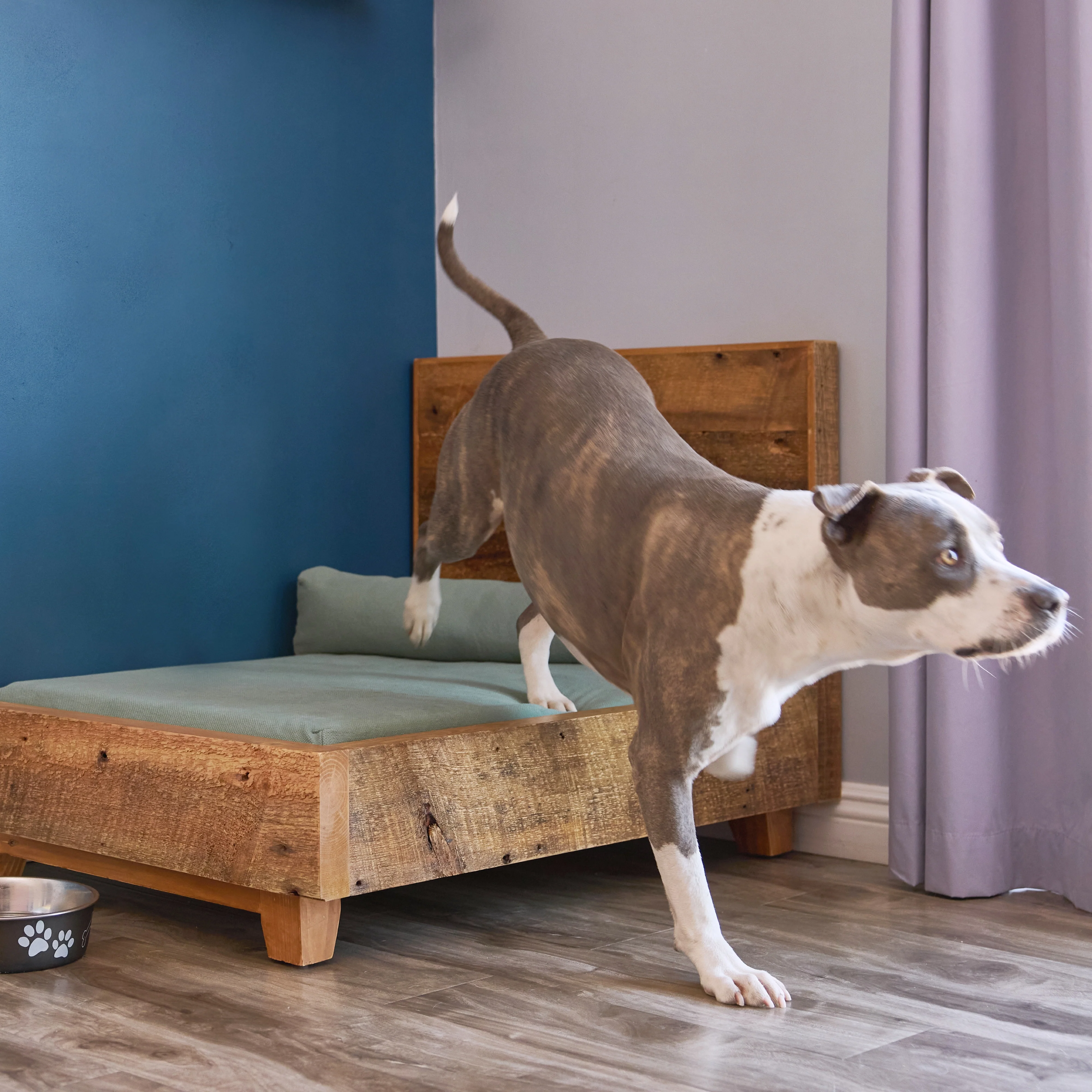 Dog Bed Frame - Image 6