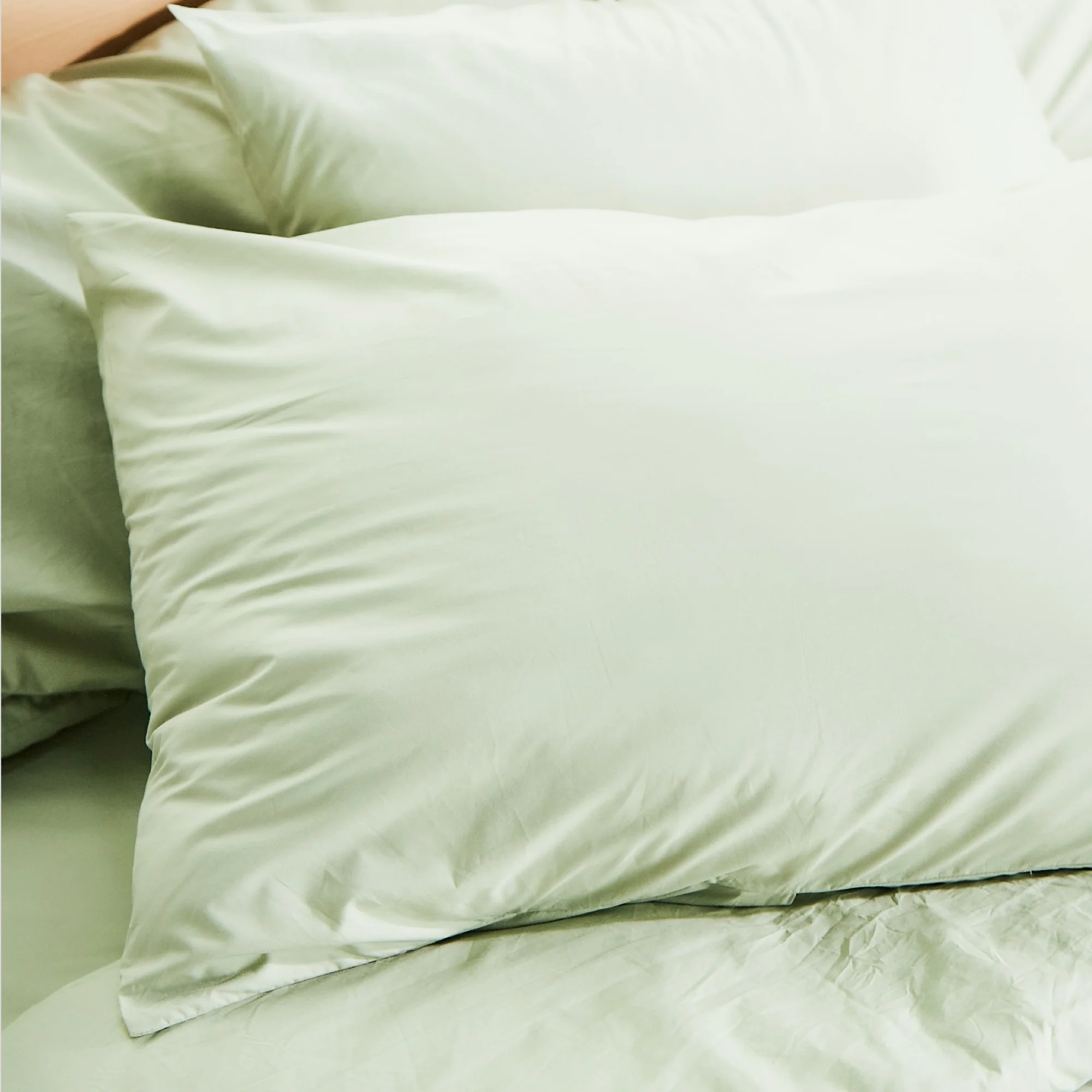 Percale Organic Cotton Shams 270TC - Image 5