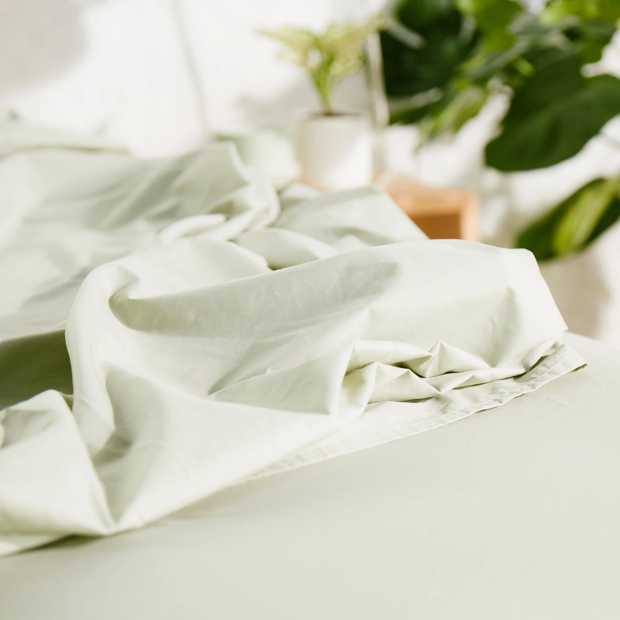 Percale Organic Cotton Sheets 270TC - Image 6